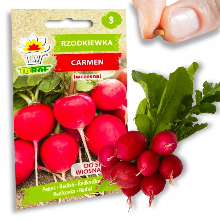 Nasiona warzyw marchew ogórek pietruszka burak NA DOBRY START UDANE PLONY