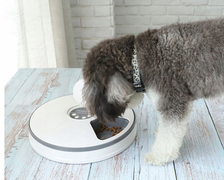 Podajnik dozownik suchej karmy automat czasowy timer dla psa kota miska