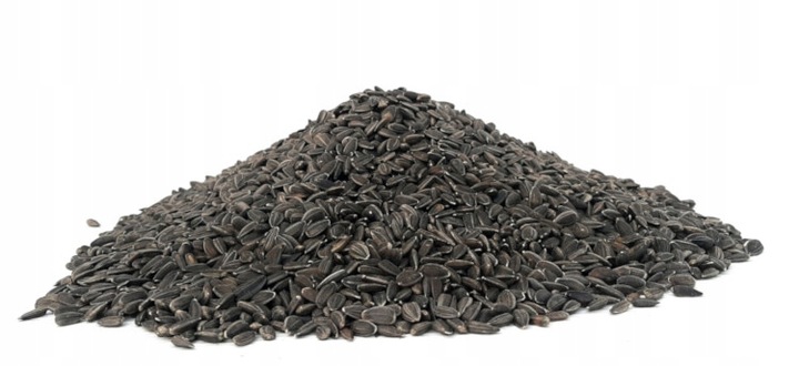 Słonecznik dla ptaków CZARNY, CZYSTY 25kg karma