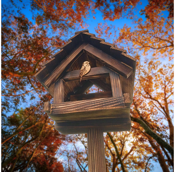 Karmnik Dla Ptaków Duży Na Prezent PREMIUM XXL Budka Ozdoba Ogrodu +