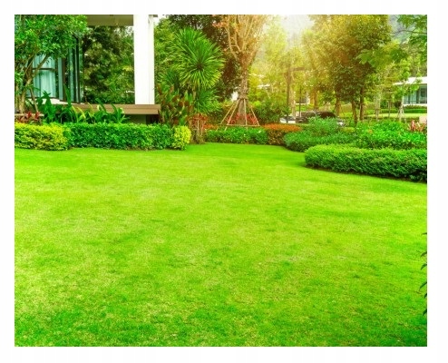 ZESTAW Nawóz wieloskładnikowy SALETRZAK 5kg POLIFOSKA 6 5kg