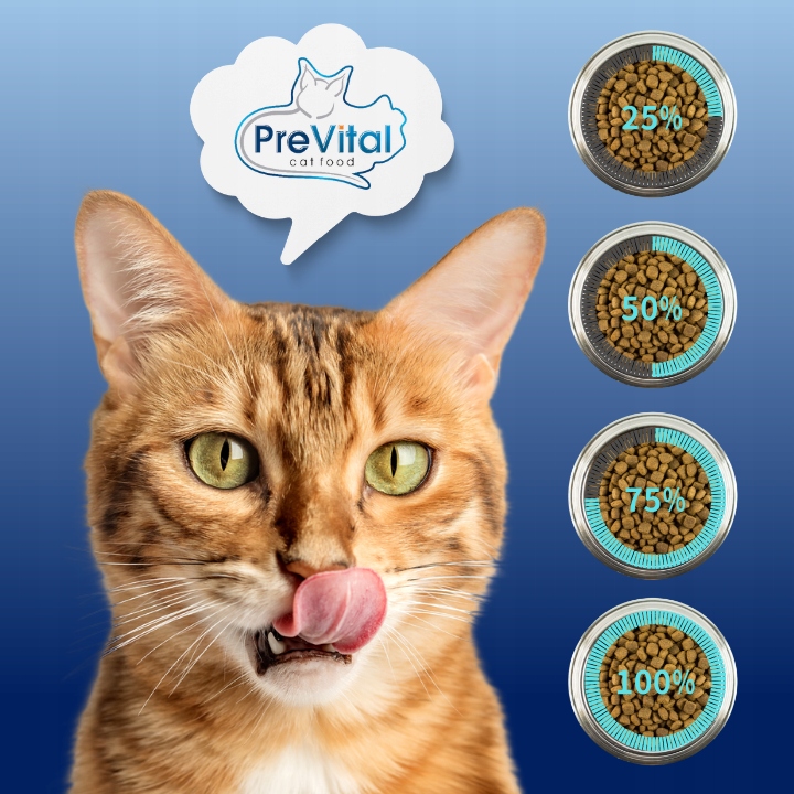 MOKRA KARMA DLA KOTA MEGA BOX MIX SMAKÓW 24X100G SASZETKI DLA KOTA PREVITAL