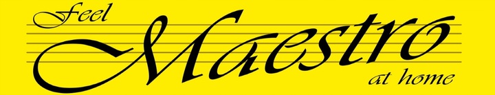 Kubek termiczny MAESTRO MR-1634A 400 ml