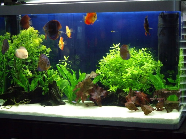 Naturalnie Biały Piasek Kwarcowy do Akwarium 0,5-1mm 24kg