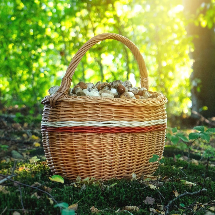 KOSZ WIKLINOWY KOSZYK NA GRZYBY ZAKUPY PIKNIK OWOCE Z WIKLINY DUŻY EKO