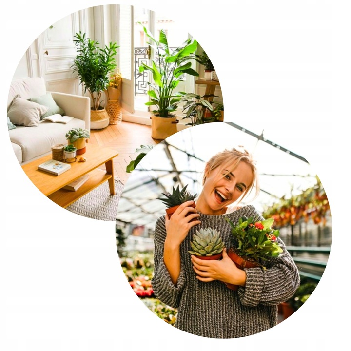 Podłoże BIGOS Lekka Ziemia do kwiatów roślin zielonych 5L Mieszanka