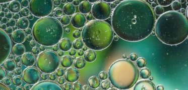 Suplement diety na wzrok Best Lab Best EyeShield 30 kapsułek