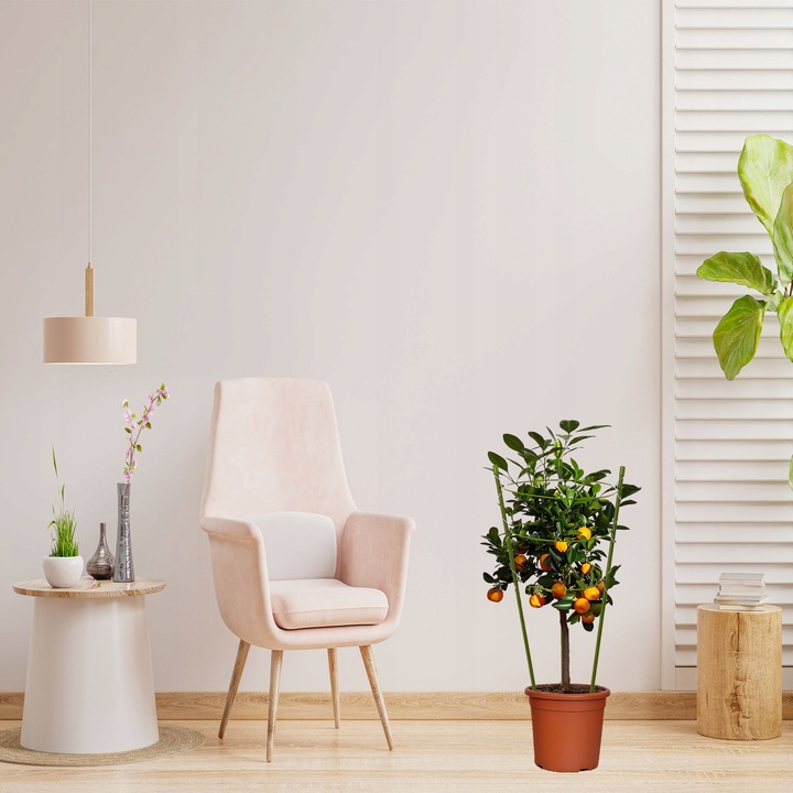 Podpórka do Kwiatów Podpora dla Roślin Doniczkowych Pnących Kwiatka 61cm 5x