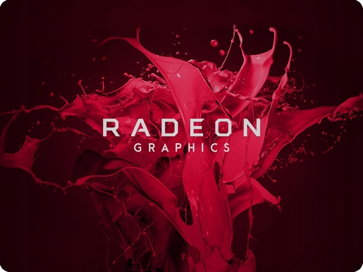 Laptop HP 255 G10 Ryzen 5 7530U 16GB RAM SSD 1000GB 15,6' FHD IPS W11