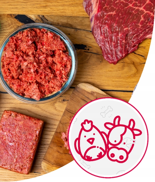 Karma dla Psa Mięso Mrożone Wołowe Bez Kości Surowe Świeże AS 10 kg BARF