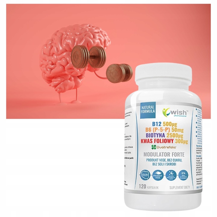 MODULATOR FORTE B12 B6 BIOTYNA KWAS FOLIOWY 120kap