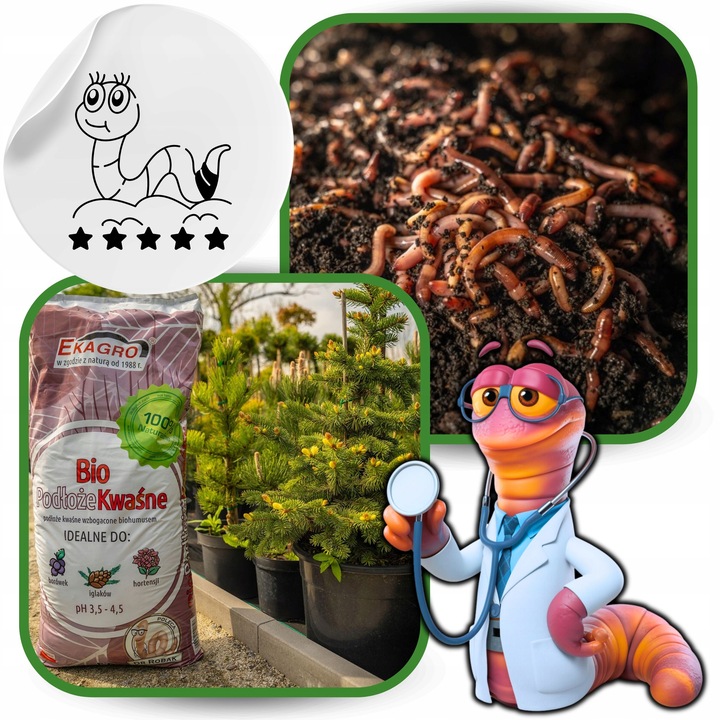 Torf Kwaśny Podłoże z EKO Nawozem BORÓWKA IGLAKI