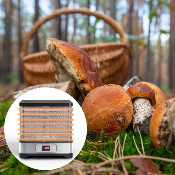 Suszarka do grzybów owoców warzyw DUŻA MOCNA 500W TERMOOBIEG REGULACJA