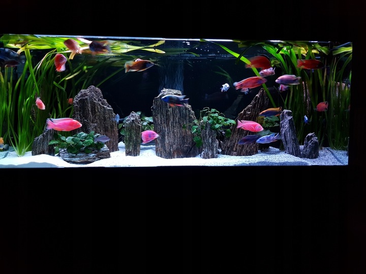 24kg Piasek Kwarcowy Biały do Akwarium 0,5-1mm