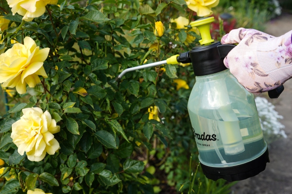 Opryskiwacz ciśnieniowy 1,5l AQUA SPRAY CLEAR