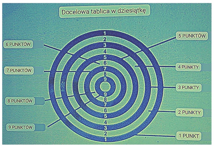 DART tarcza 43 cm lotki 6 szt gra Darts dwustronna