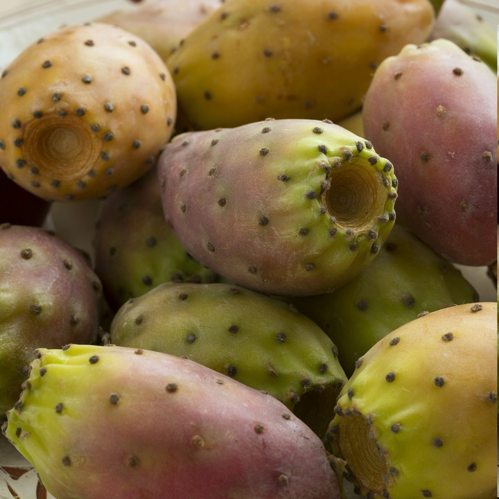 OLEJ Z OPUNCJI FIGOWEJ 50ml do twarzy rafinowany PREMIUM