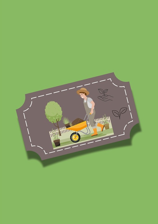 Jabłoń papierówka OLIWKA ŻÓŁTA bardzo wczesna PAPIERÓWKA Z DZIECIŃSTWA