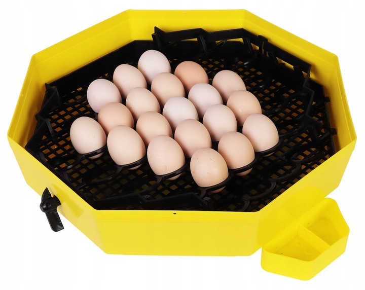 INKUBATOR CLEO 5DTHE 60/41 JAJ WYLĘGARKA KLUJNIK LCD TERMOMETR TACA