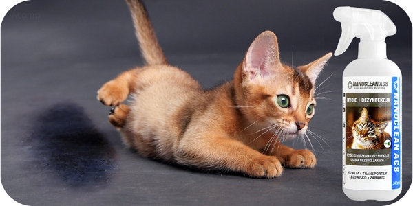 NANOCLEAN AC8 neutralizator zapachu moczu KOTA, na pchły,kleszcze Atest PZH