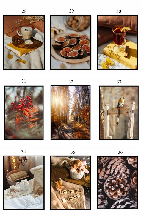 PLAKATY 50x70 JESIENNE obrazy DUŻO WZORÓW do salonu sypialni eviero