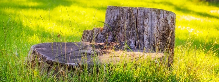 Preparat do rozkładu pni i korzeni 750ML