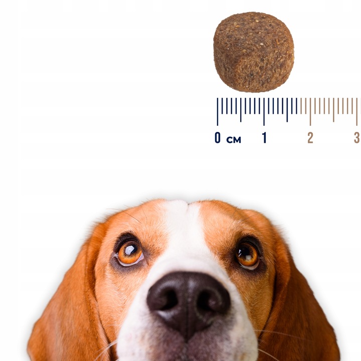 SUCHA KARMA DLA PSA POLARIS ADULT BEZ ZBÓŻ WOŁOWINA INDYK 12KG ŚWIEŻE MIĘSO