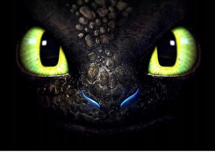 ZESTAW MASKOTEK 2X FURIA NOCNA I BIAŁA FURIA 30CM JAK WYTRESOWAĆ SMOKA SMOK