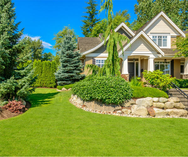 Nawóz POLIFOSKA 6 oryginał 25kg IDEALNY TRAWNIK 6-20-30(7) WIOSNA