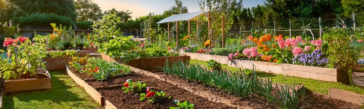 BECZKA POJEMNIK STERK 40L DO KISZENIA OGÓRKÓW KAPUSTY+ATEST