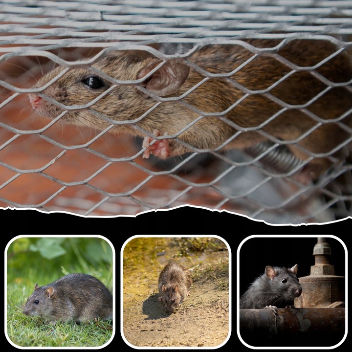 PUŁAPKA ŻYWOŁAPKA NA SZCZURY MYSZY GRYZONIE KUNY ŁAPKA DO ŁAPANIA