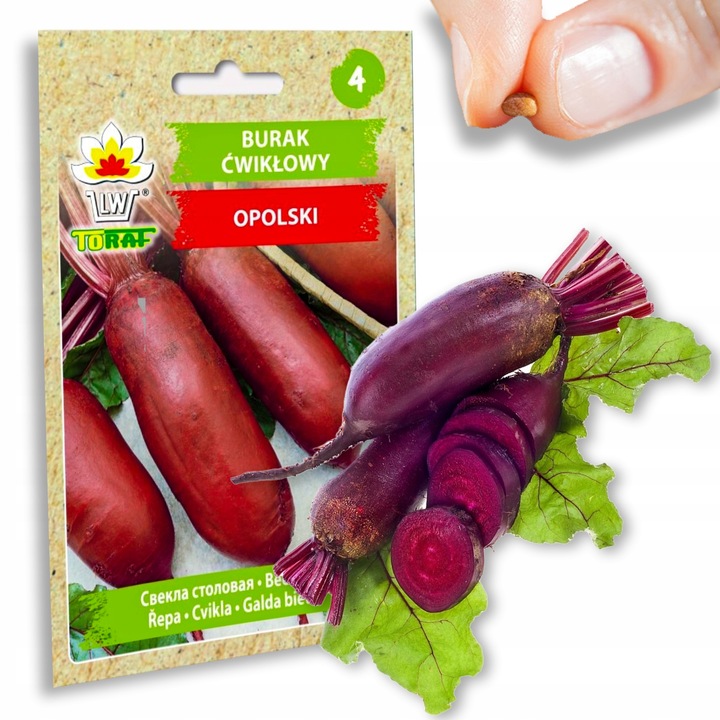 Nasiona warzyw marchew ogórek pietruszka burak NA DOBRY START UDANE PLONY