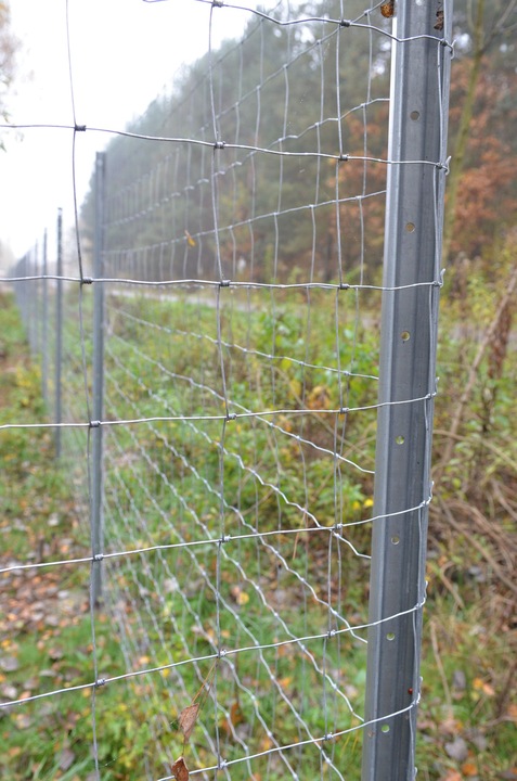 SIATKA LEŚNA OGRODZENIOWA 120/9/30 L 50m + GRATIS