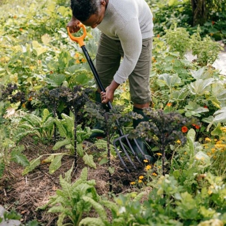 Metalowe Widły FISKARS Solid 1070673 120cm