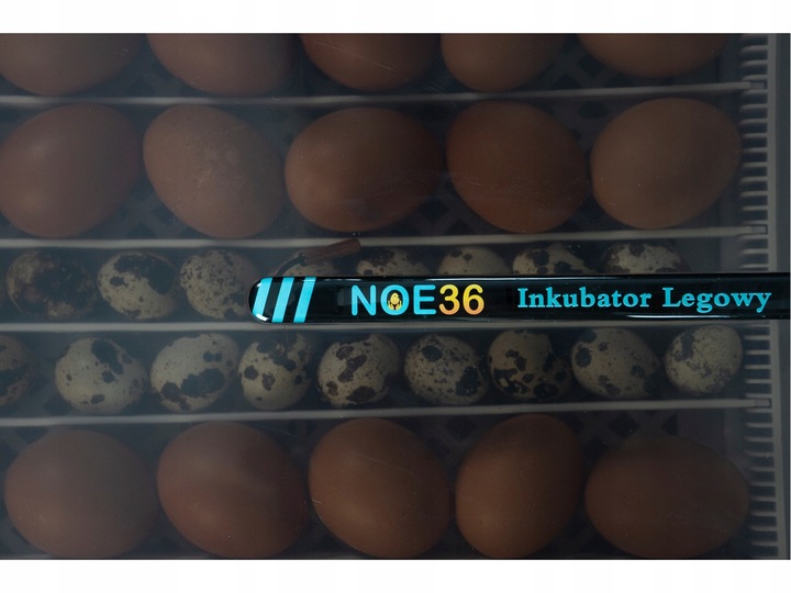 Inkubator Automatyczny NOE36 dla GĘSI kaczek INDYKÓW gołębi KLUJNIK AUTOMAT