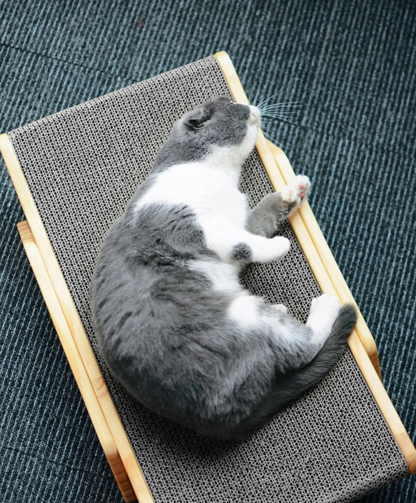 Drapak drewniany dla kota legowisko leżanka 2w1 mata do drapania (F066)