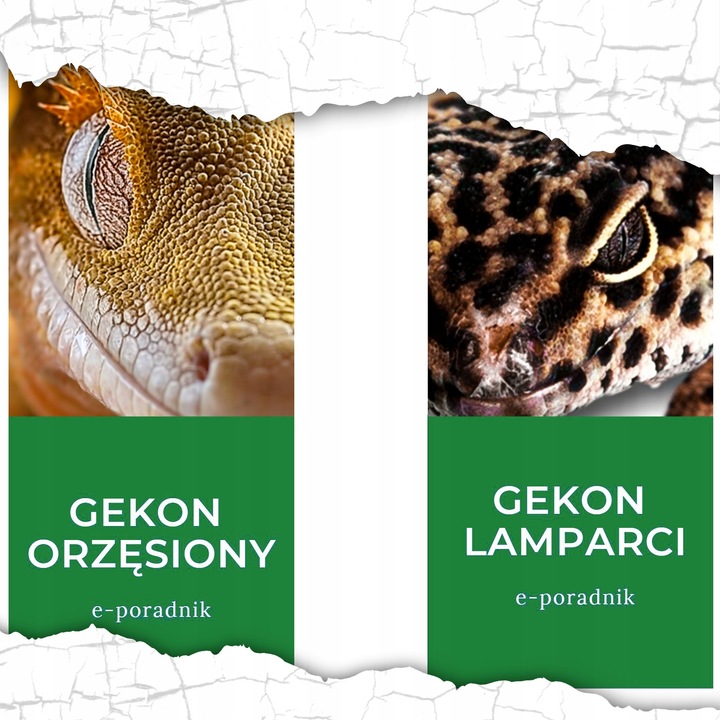 ZESTAW 3 WYMIENNYCH FILTRÓW DO POIDEŁKA MARKI COMFY ŚWIETNA FILTRACJA WODY