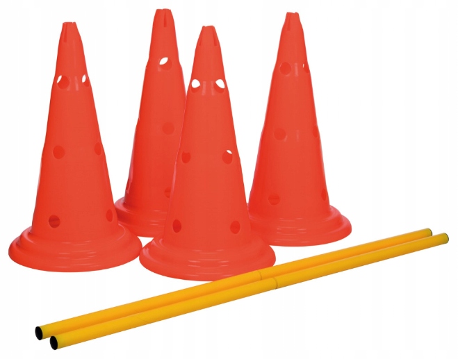 Trixie Tor przeszkód dla Psa Zestaw treningowy Dog Activity Agility