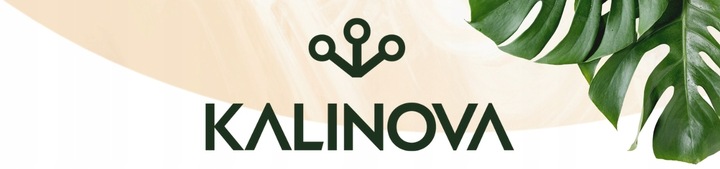 SANIUM PIN 2w1 Pałeczki Owadobójcze + Nawozowe na Ziemiórki Tarczniki