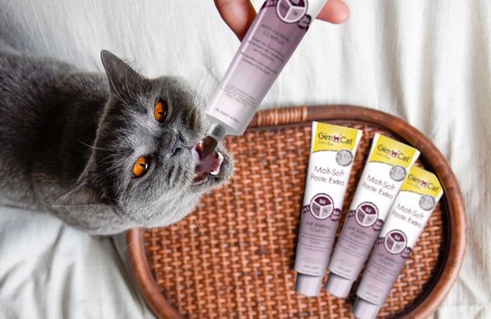 GIMPET PASTA ODKŁACZAJĄCA MALT SOFT EKSTRA 200g