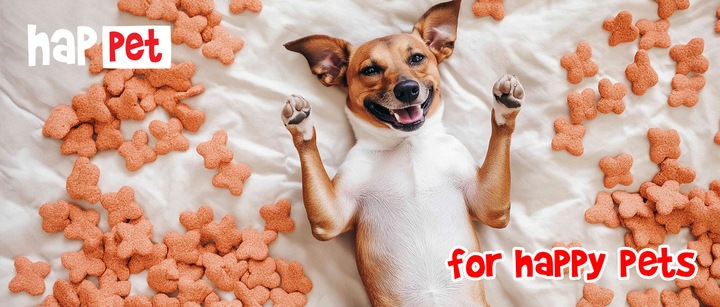 Transporter dla Psa Kota M 56x37x37 cm - TEDDY Fuksja, Do Samochodu