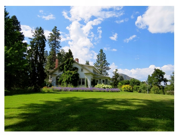 Trawa samozagęszczająca UNIWERSALNA BARENBRUG RPR Lawn 5kg SPORTOWA OTOCZKA