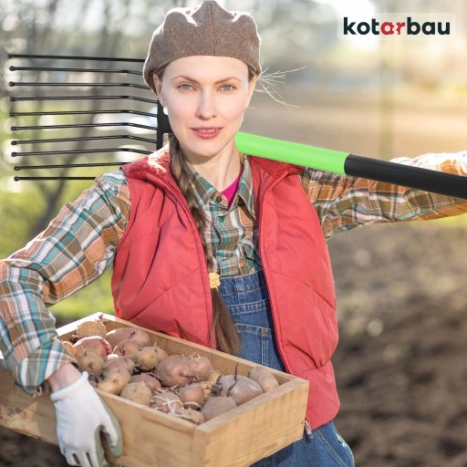 WIDŁY 10 ZĘBNE BURAKÓW ZIEMNIAKÓW KAMIENIA GABLE