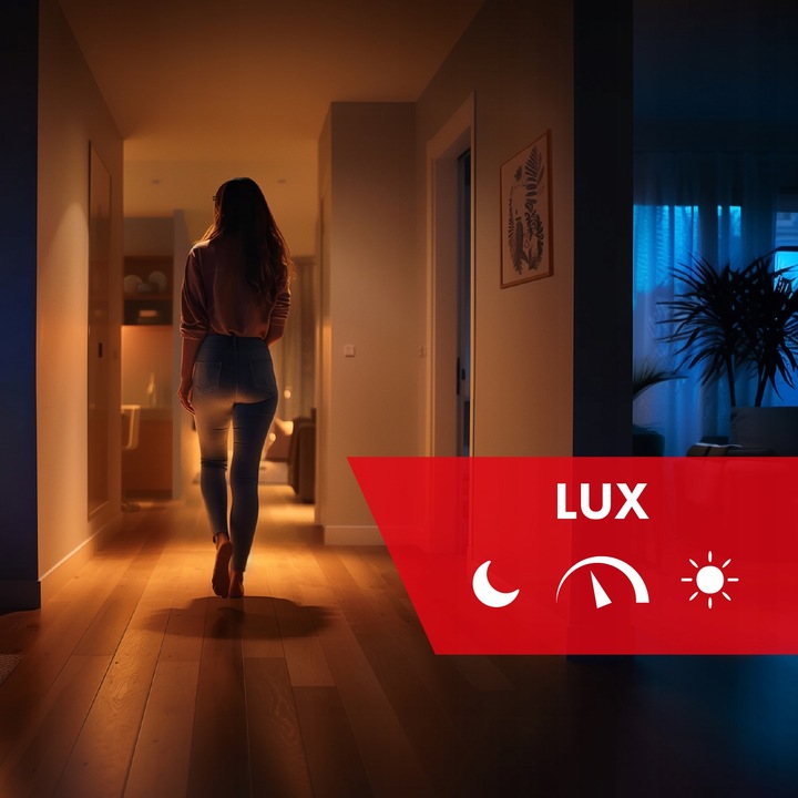 CZUJNIK ZMIERZCHU Z ZEWNĘTRZNĄ SONDĄ REGULOWANY 12-24V DC IP54