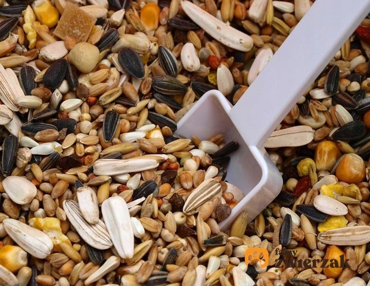 Pokarm KARMA DLA PTAKÓW dzikich mieszanka ZIMUJĄCYCH ZIARNO 5kg