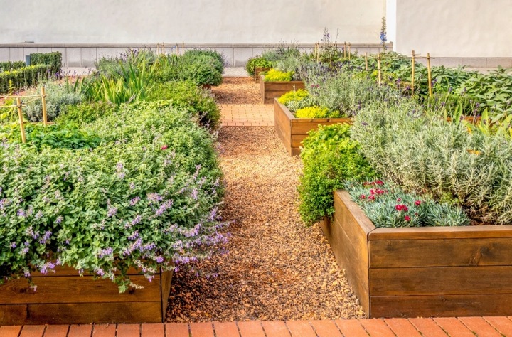 BIOHUMUS NAWÓZ DO WARZYW OWOCÓW ROŚLIN ORGANICZNY PŁYNNY HUMUS 5L