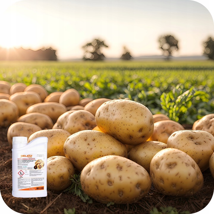 BELEM 1,2KG Środek OWADOBÓJCZY DOGLEBOWY ZWALCZA PĘDRAKI DRUTOWCE