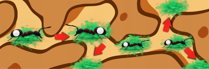 SILNY PROSZEK NA MRÓWKI W DOMU I OGRODZIE 1 KG