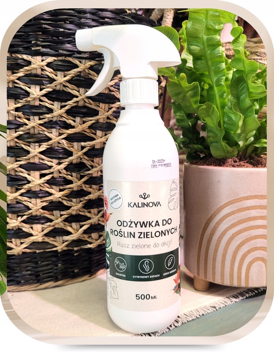 Odżywka Nawozowa Nawóz Do Liści Roślin Zielonych Monstery Palm Fikusa