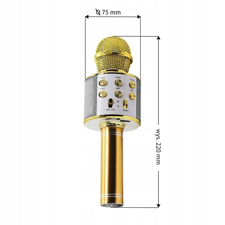 MIKROFON KARAOKE GŁOŚNIK BLUETOOTH MANTA MODULACJA